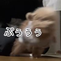 ちびちゃんのお出迎え⑩