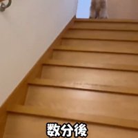 しばらくしてから様子を見に行くと…