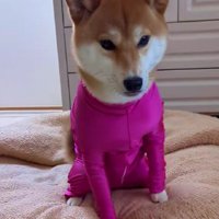 思った以上にピチピチで…