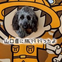 幸せを掴んだオレオくん8