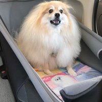 アニメ
