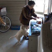 おばあちゃん登場