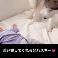 男の子に添い寝する星凪くん2