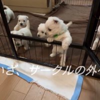 新しい世界へ冒険♪