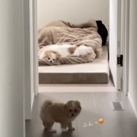 ちょっとお怒り！