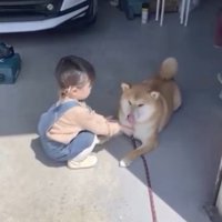 まったりと触れ合い