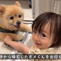 女の子がポメくんをお出迎え