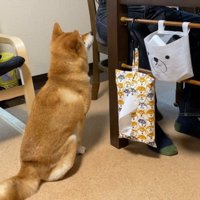 お父さんの足元にお座り