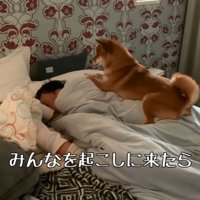 パパの上に乗る花子ちゃん