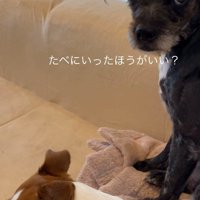 「どうしたらいい？」とママさんをチラ見