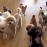 誰かが現れた…！！