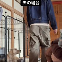 通り過ぎる人を目で追う犬