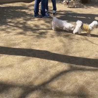 ノアちゃんはどこ！？