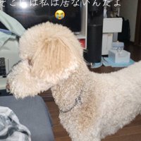 そわそわ落ち着かない