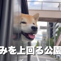 公園が近づくと笑顔に！