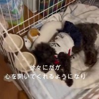 徐々に心を開いて…