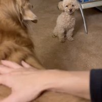 何を考えているのかな？