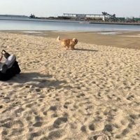 海辺でのハプニング4