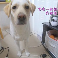 我慢しようとする姿が健気で愛おしい♡