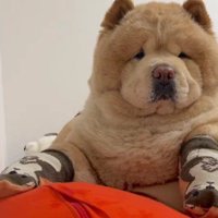 あからさまに不機嫌に！