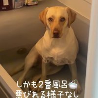 二番風呂に大満足