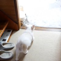 おばあちゃんのお顔を見て満足♪