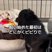 とっても怖がりな性格