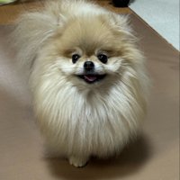 頬袋