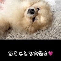 心おだやかな毎日