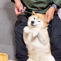 薬を入れたお父さん