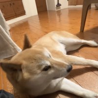 また聞こえた「おやつ」