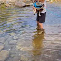 抱き上げられている柴犬