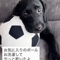 大好きな「相棒」