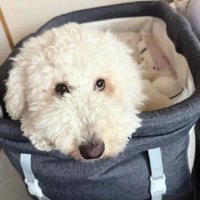 大変心地よかった模様