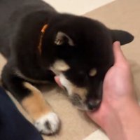 寝落ち