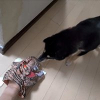 無事か