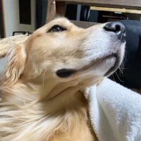 「えっ、そっち！？ダメ！」