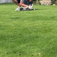 チューまでする溺愛ぶり！！