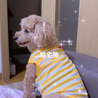 飼い主さんが帰宅したら…