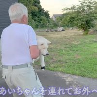 おじいちゃんと庭へ