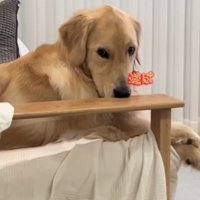 「ねぇ、遊ぼう？」