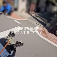 佐川急便のお兄さんを見つけたライタくん