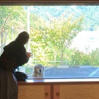 「居心地はどう？」
