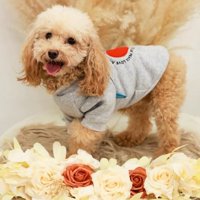 笑顔のモカちゃん