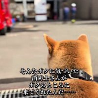 一人の消防士さんが近付いて…