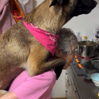 おんぶしてもらう大型犬