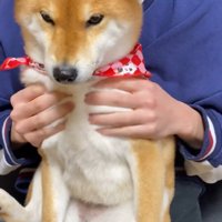至福のひと時♡