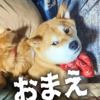 枕を奪われたスティーブくん5