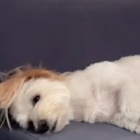 目が覚めた…？