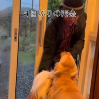 ざらめちゃんとパパの再会6